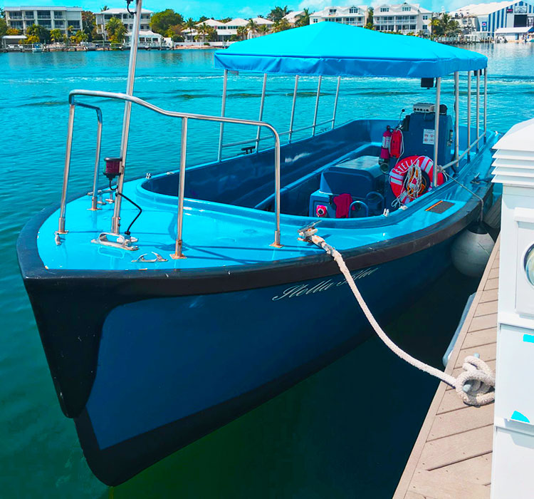 Key West Private Inshore Light Tackle Fishing Charter (10+ passengers) Image 1