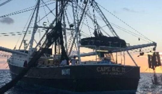 Key West Private Gulf Shrimp Boat Charter