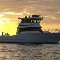 Specialty Charters