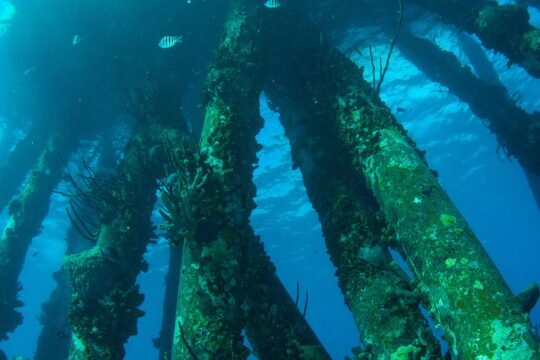 Gulf of Mexico Towers