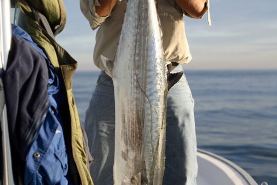 Come in From the Cold with Key West Fishing Charters