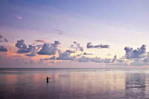 Cooling Temps Activate the Key West Backcountry Fishing