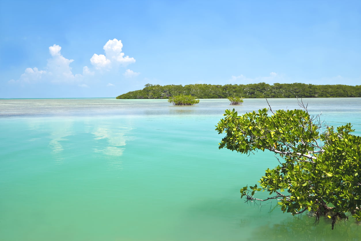 Key West Fishing in March | Fish Key West