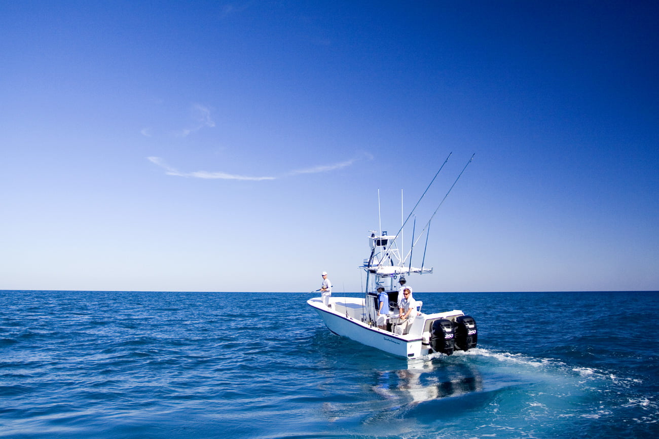 trolling-fishing-kingfish - Distraction Charters