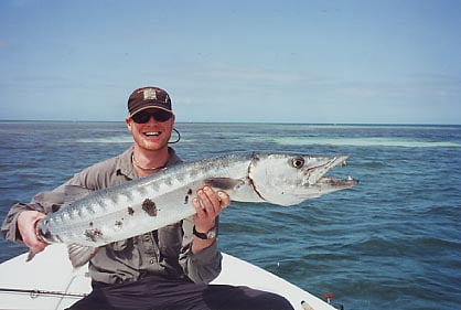 Great Barracuda