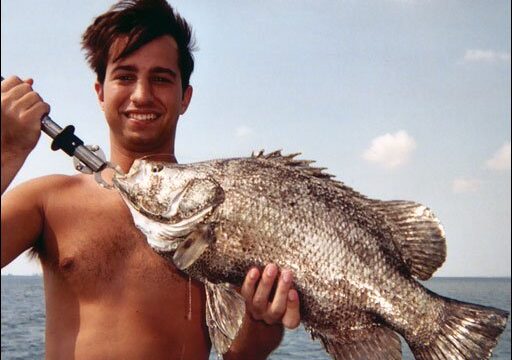 Tripletail