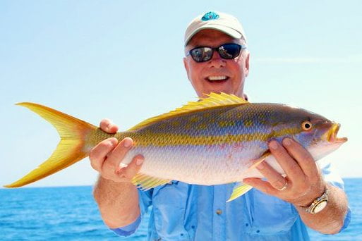 Yellowtail Snapper