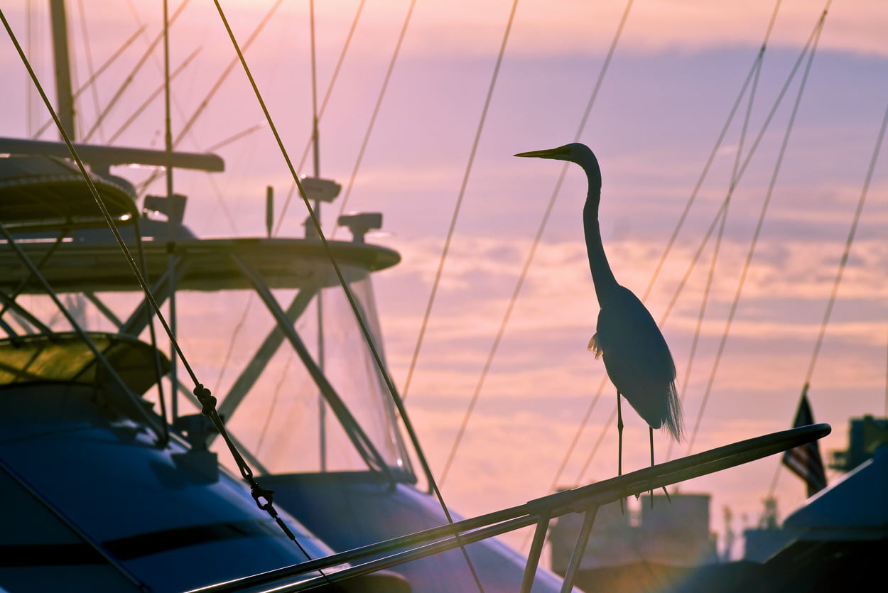 Key West Dockside