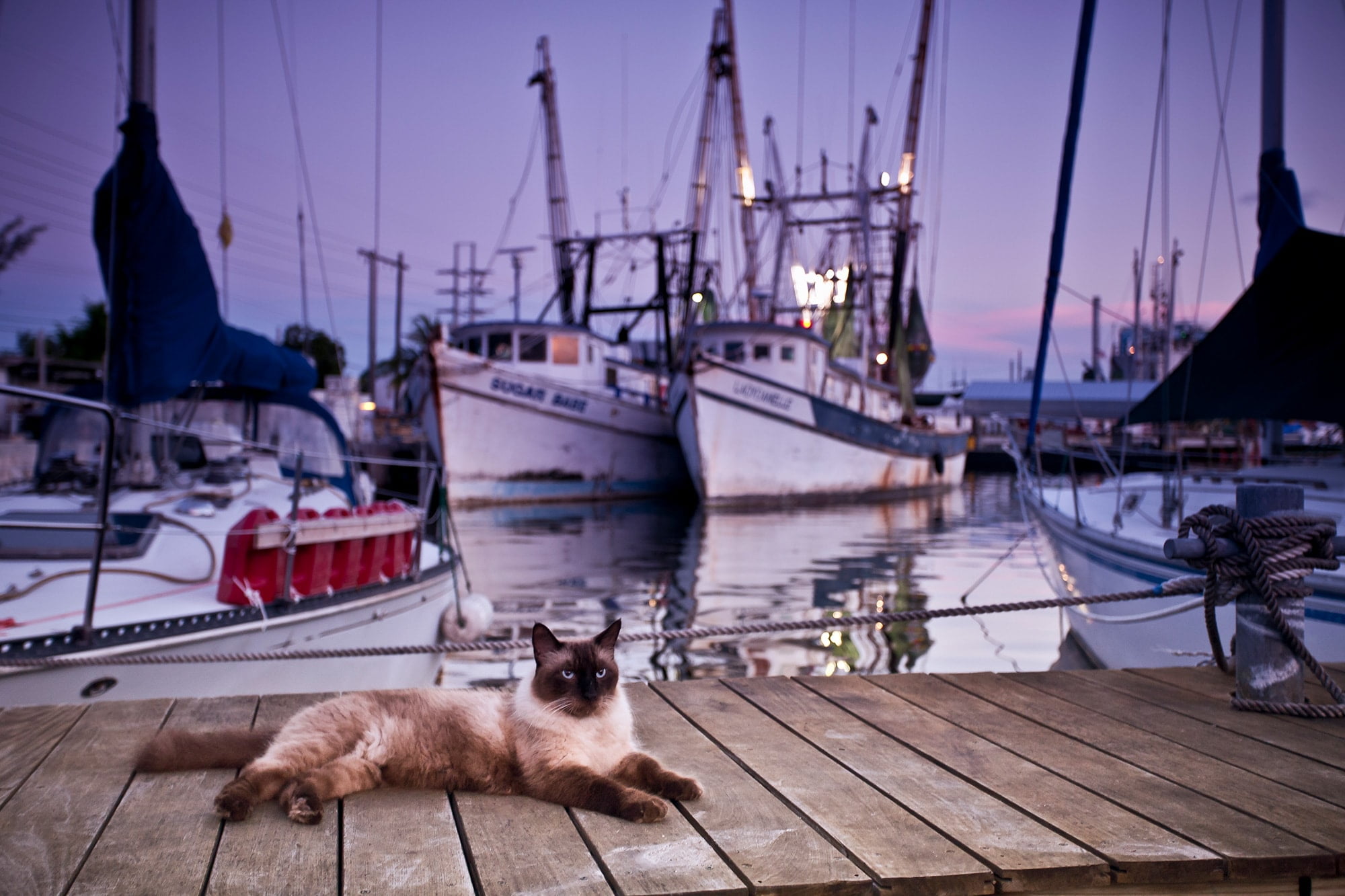 Shrimp Boats Fish Key West